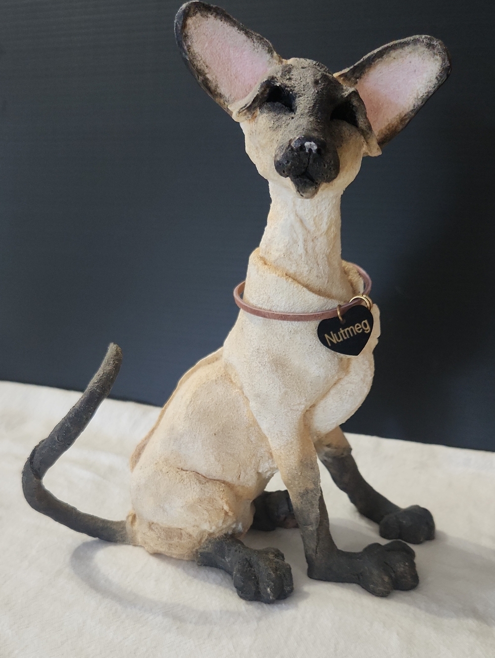 A Breed Apart Vtg Cat